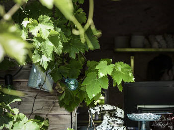 Bistrot du Verger Chambéry